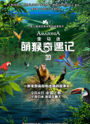 杰克·萊恩 第四季