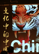 相澤真紀