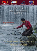 辻本杏