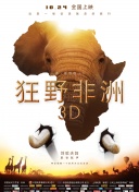 后空翻少年