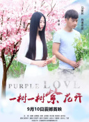 美狄亞的詛咒