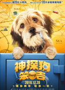 2023斯諾克武漢公開賽 杰克·利索夫斯基VS山姆·克雷吉