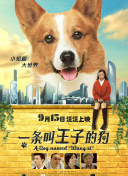 邪教教主養成指南