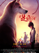 野獸家族 第四季