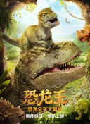 瓦尼塔斯的筆記