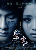 鐵血保鏢電視劇完整版