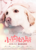 哎呦，棒球一夏