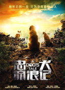 公牛