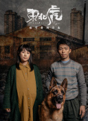 炊事班的故事2
