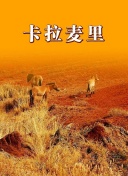 旋風魔術師 第二季